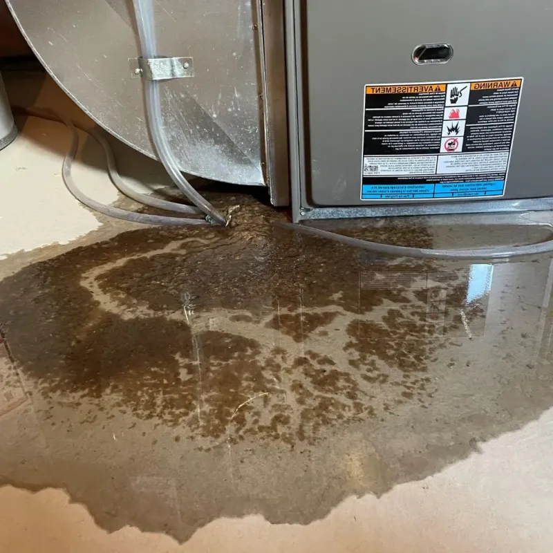 Pipe Burst and Leak Restoration in Tappan, NY